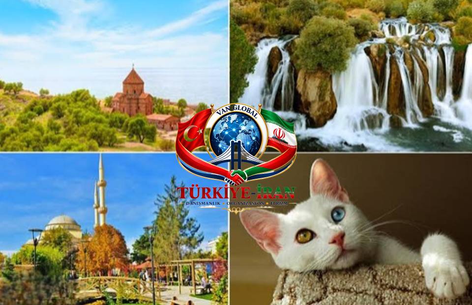 راهنمای کامل سفر به وان؛ شهر گربه‌های بازیگوش و صبحانه‌های افسانه‌ای